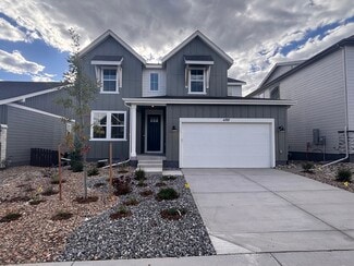 4297 Ridgewalk Point, Castle Rock, CO 80108