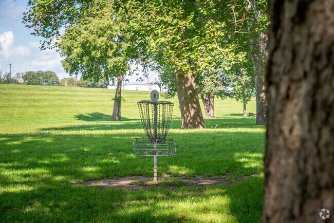Nesbitt Park is where Edwardsville residents go for a round of disc golf.