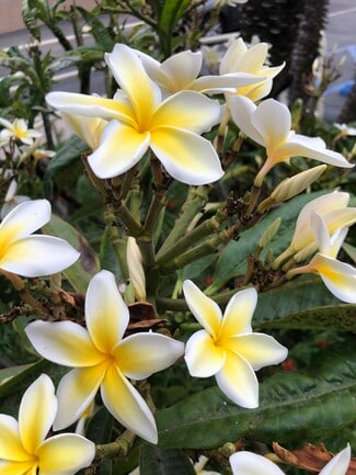 840 W 168th St Unit B, Gardena, CA 90247