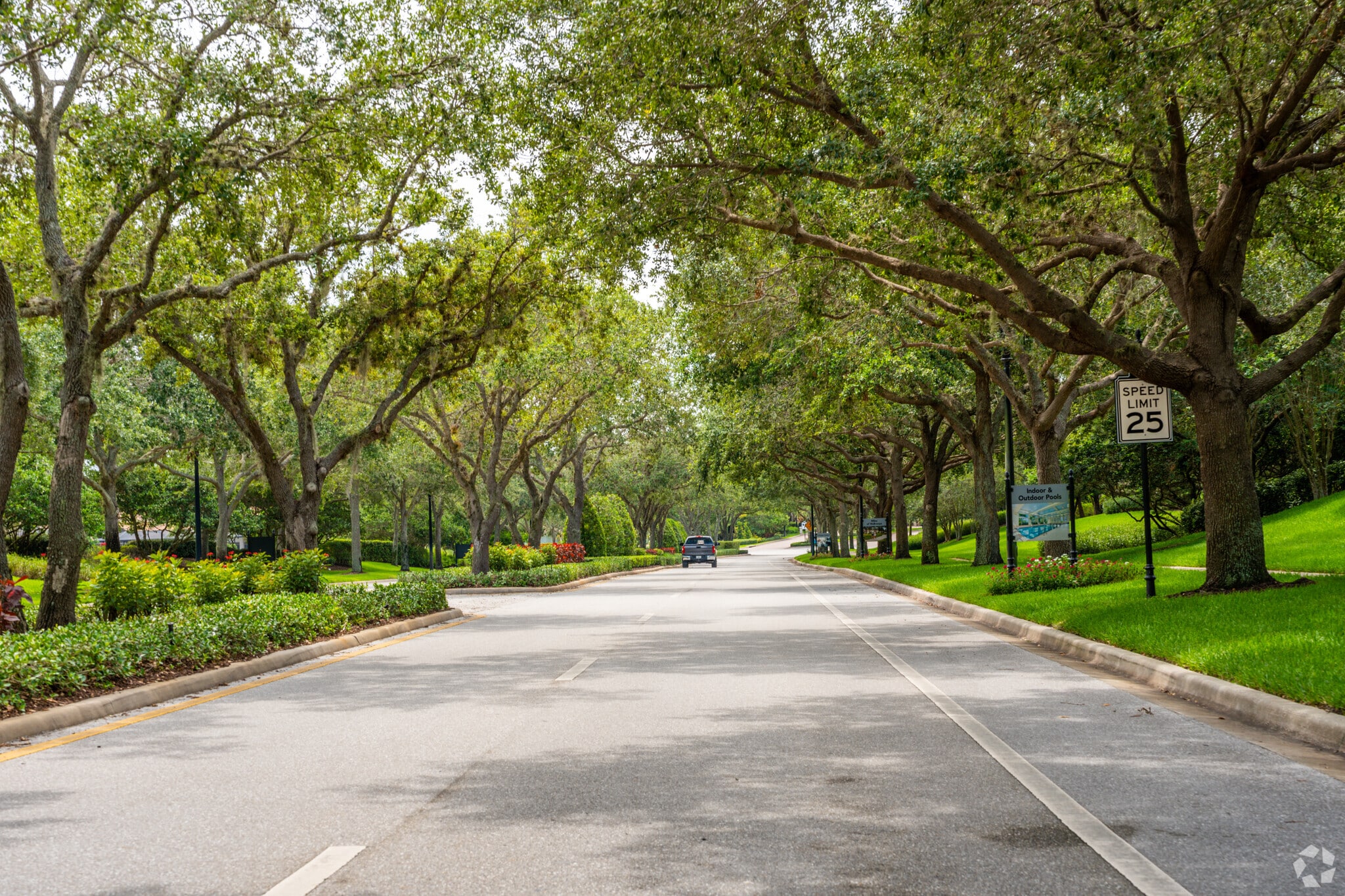 Tree lined entrance way in Verano.