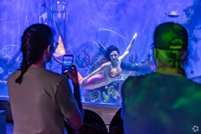 Close to Homosassa Springs catch the mermaid show at Mertailor's Mermaid show.