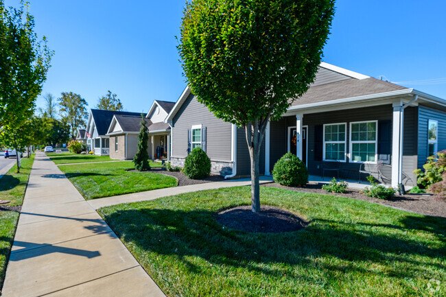 A row of new cottages line a street in the neighborhood of Sunnyside.