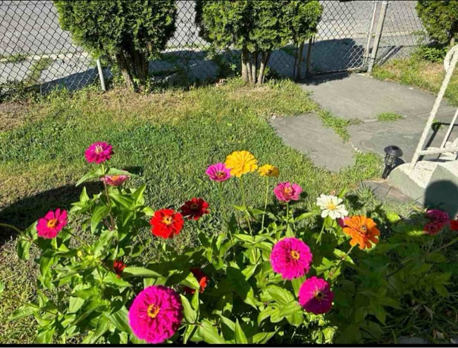 34 Franklin St unit 1, Port Jervis, NY 12771 - photo 6