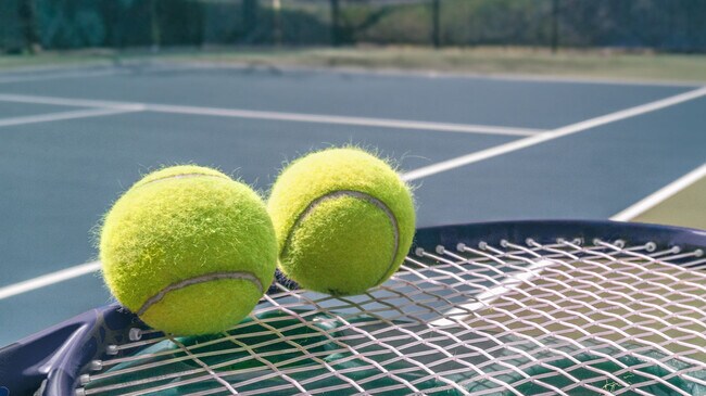 704 Curb Ct, Locust Grove, GA 30248 - photo 2