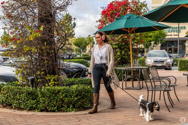 Palomar Estates is a dog friendly neighborhood.