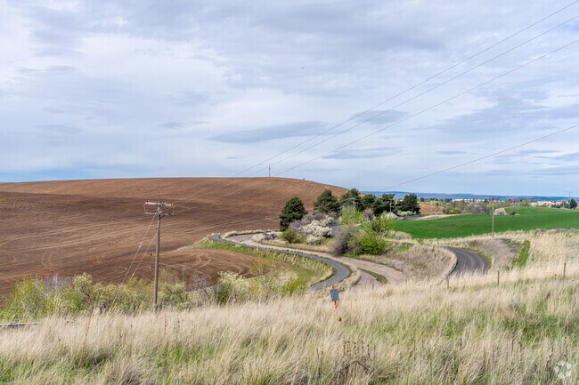 Walla Walla is very prone to wildfires in the summer months.