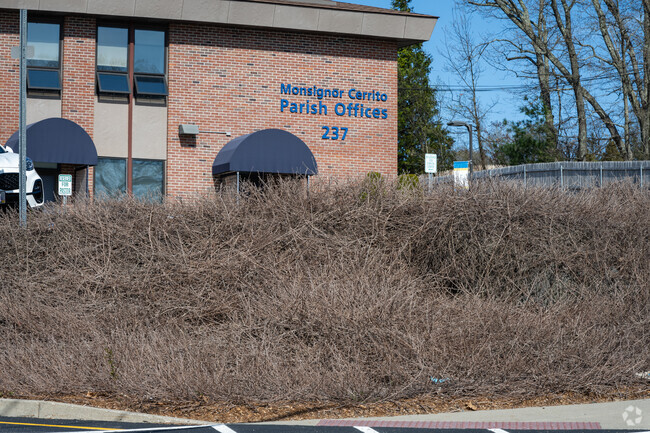 Uncover the rich tradition of excellence at Immaculate Conception Catholic School in Cranston.