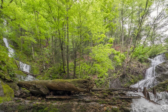 The Twin Cascade on Cascade Brook Trail in Florida is a popular hiking destination.