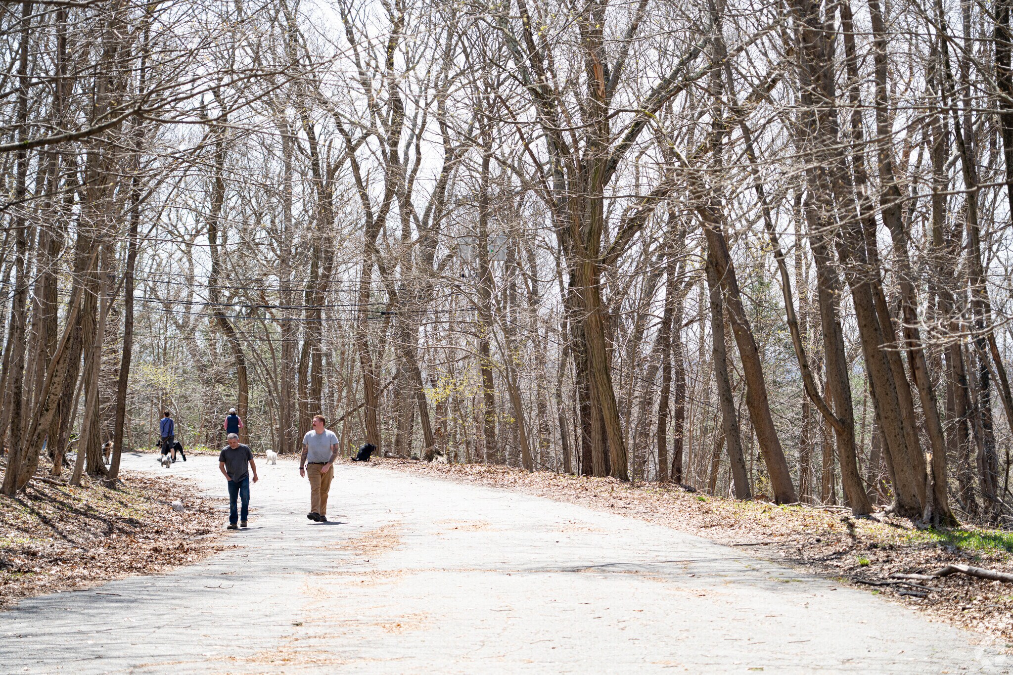 Residents enjoy the easy accessibility to the walking oaths at the Bellevue Hill Park.