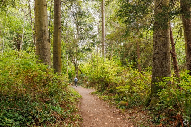 Hawley Cove Park is a popular spot for locals to take their dogs on a run or walk.
