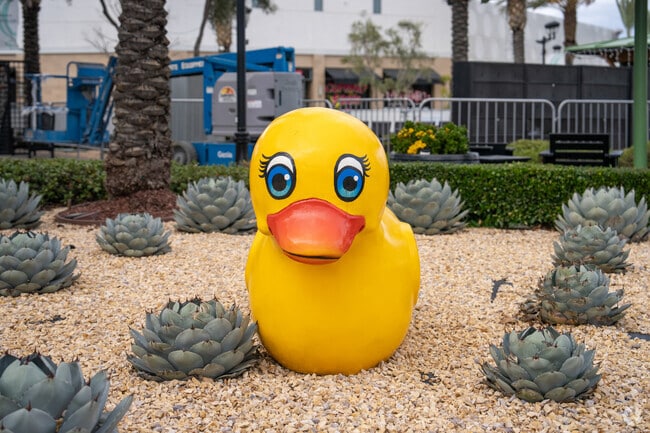 You'll find duck artwork at the Shops at Dos Lagos, just outside of Horsethief Canyon Ranch.