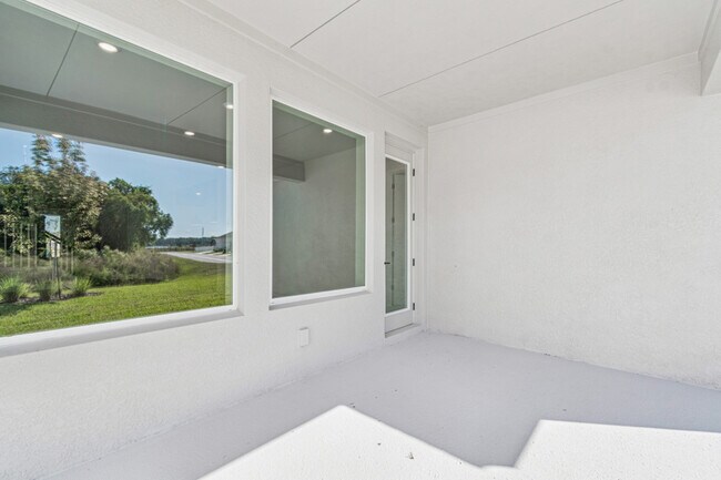 28780 Jujube Rd, Wesley Chapel, FL 33543 - photo 5