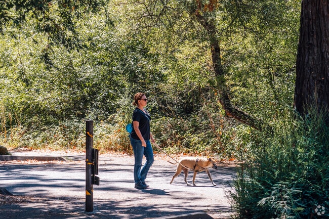 Reinhardt Redwood Regional Park is a perfect place to take your dog on a walk.