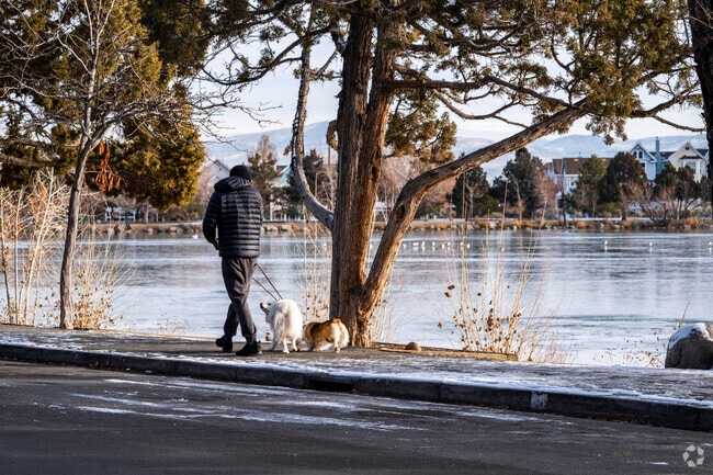 The Grove is right next to Virginia Lake which is a top choice for taking dogs on a walk.