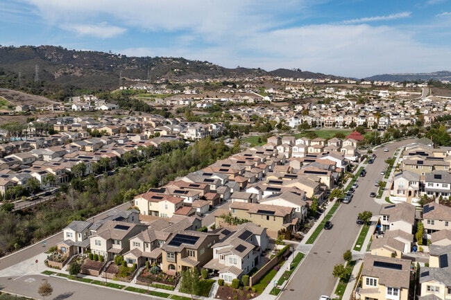 Homes in Harmony Grove showcase landscaped yards and well-maintained walkways.