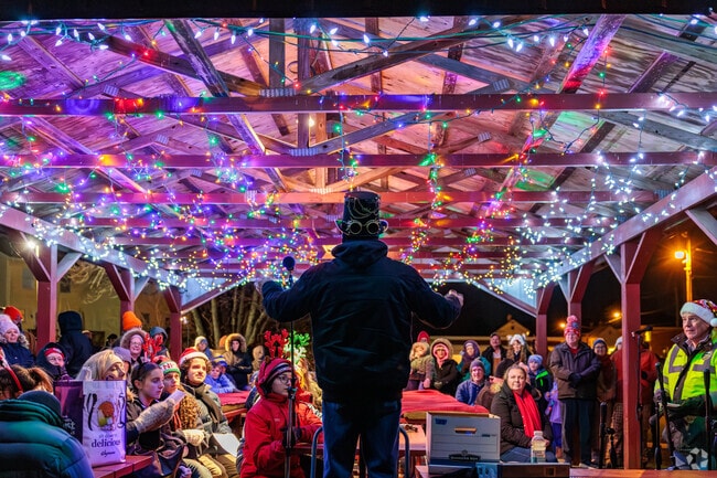 Get your daily dose of Christmas cheer at the Walkersville Christmas Tree Lighting.