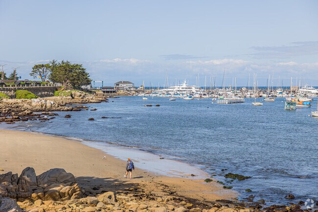 Delight in artisanal treats at the beloved Monterey Bay Creamery.