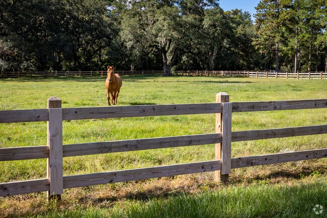 Homeowners enjoy horse stables and pastures just minutes away in Centerville Conservation.