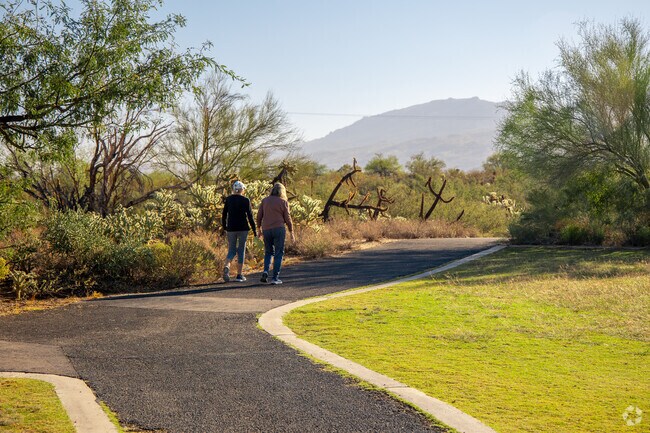 Morning and dusk are the most popular times for outdoor activities in Estes Park.
