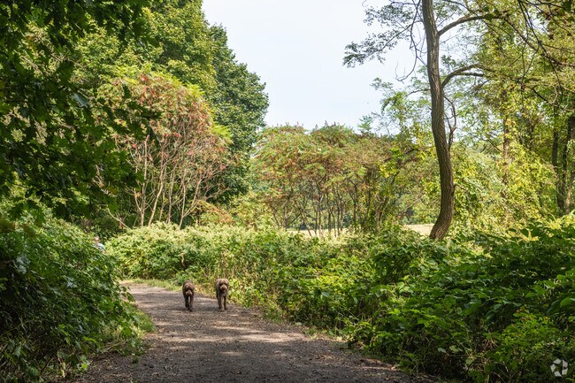 The Northampton Dog Park offers a fenced-in area and trails where dogs can run.