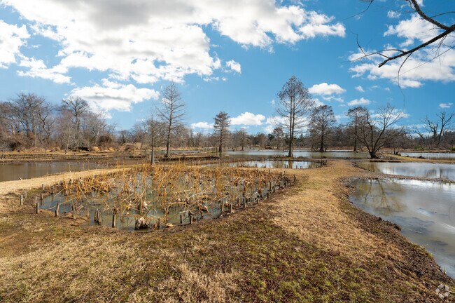 The ponds at the Kenilworth Aquatic Gardens in Kenilworth were purchased in the 1880s.