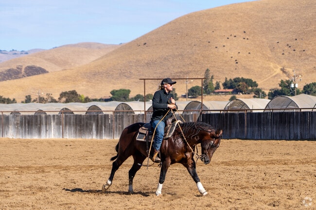 Discover serene horse farms in the heart of Hollister.