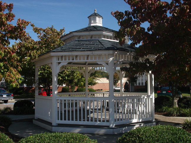 Carousel Image