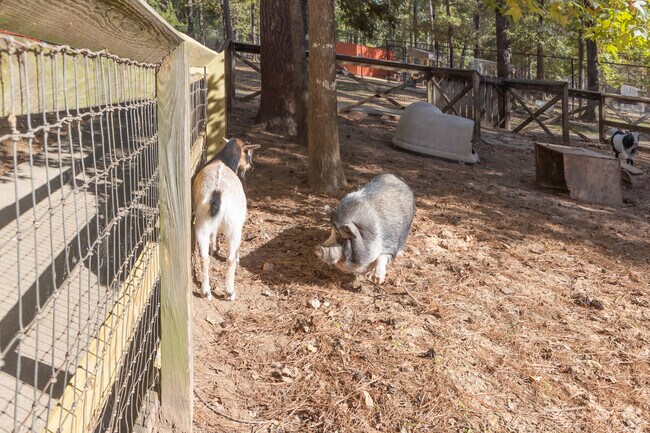 Bring the kids to the zoo and camp not too far away at Cypress B lack Bayou Park.