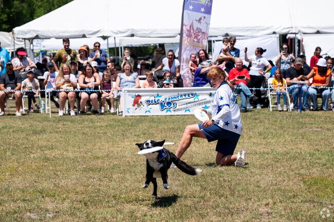 Orange City Blueberry Festival features the Disconnected K9's dog show, supporting dog rescue.