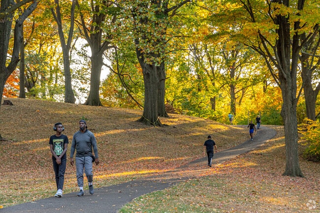 Weequahic Park, south of Newark, NJ, offers a scenic and comfortable trail experience.