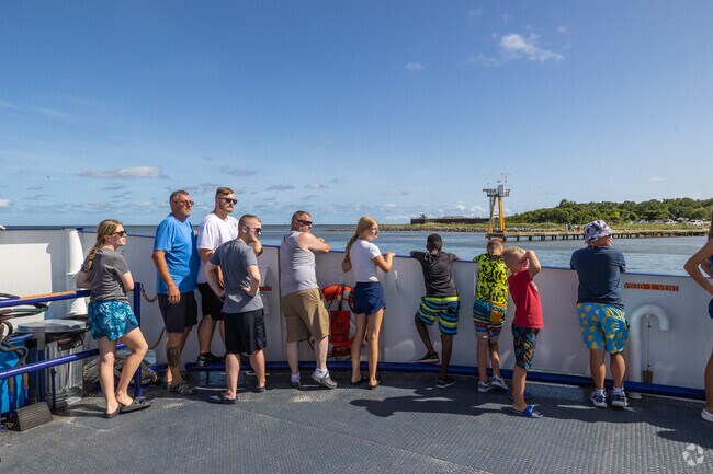 In good weather Mobile Bay Ferry runs from Ft Morgan in Gulf Shores to Dauphin Island.