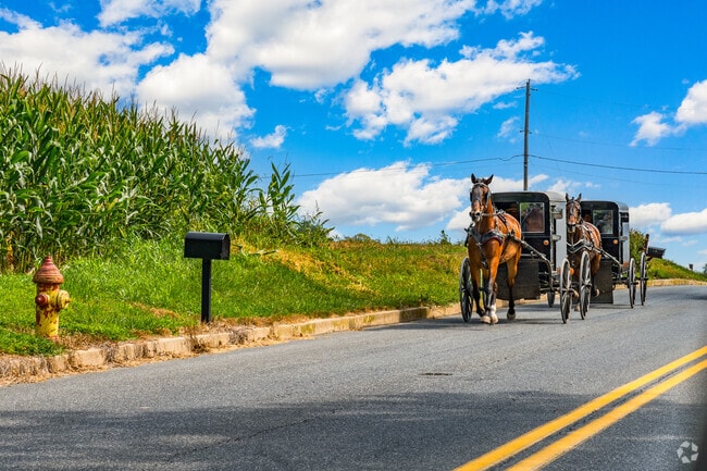 Amish horse and buggies are a common site throughout Kissel Hill and Lancaster County.