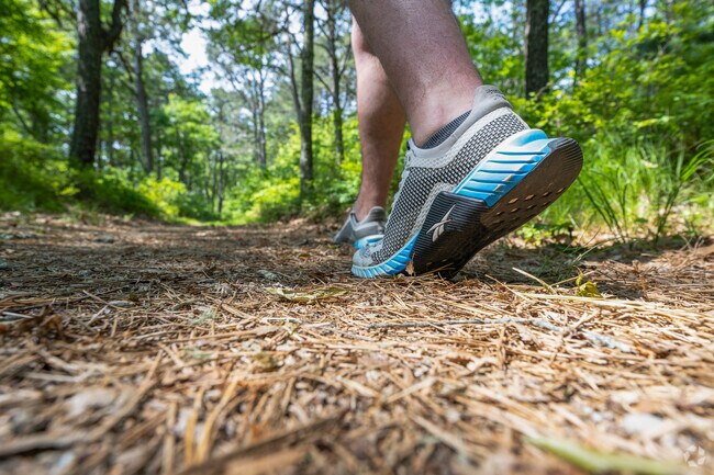 Hikers can explore the nearly 6,000 acres of wilderness at Mashpee National Wildlife Refuge.