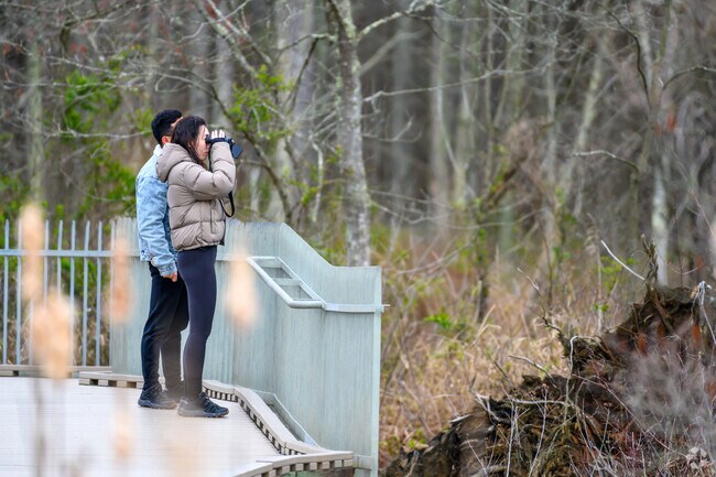 Explore Hybla Valley’s parks for excellent birdwatching opportunities.