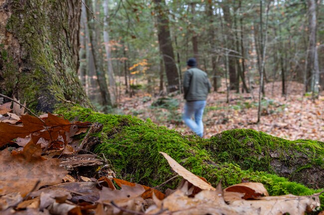 At over 6,000 acres, Moreau Lake State Park covers a big chunk of Moreau’s west end.