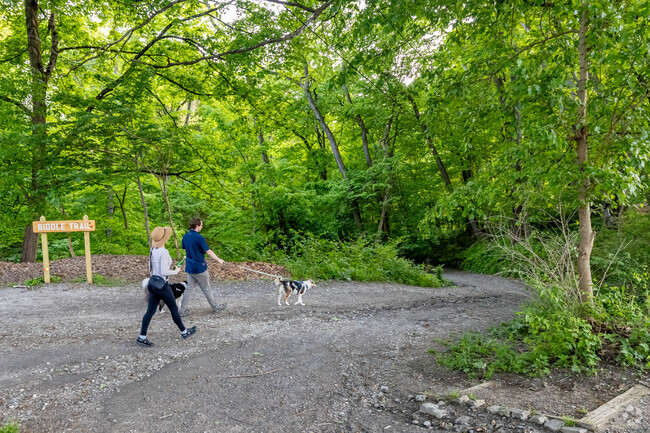 Enjoy the many trails that wind through Frick Park.