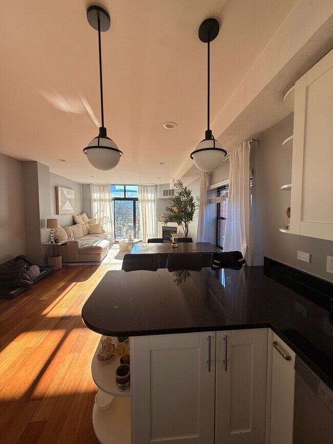 651 N Milwaukee Ave unit 301, Chicago, IL 60642 - photo 4