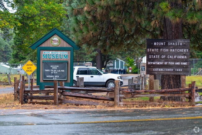 The Mount Shasta Museum has dozens of activities for everyone to enjoy.
