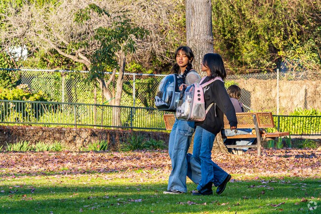 Two people taking their cats for a walk at Penn Park near Michigan Park in Whittier.