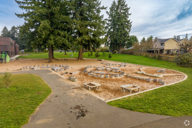 An outdoor classroom under large fir trees for learning in nature at Marrion Elementary.