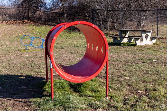 Will your dog run through the tube at Falls Township Dog Park.