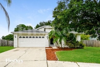 1624 Allenton Ave, Brandon, FL 33511