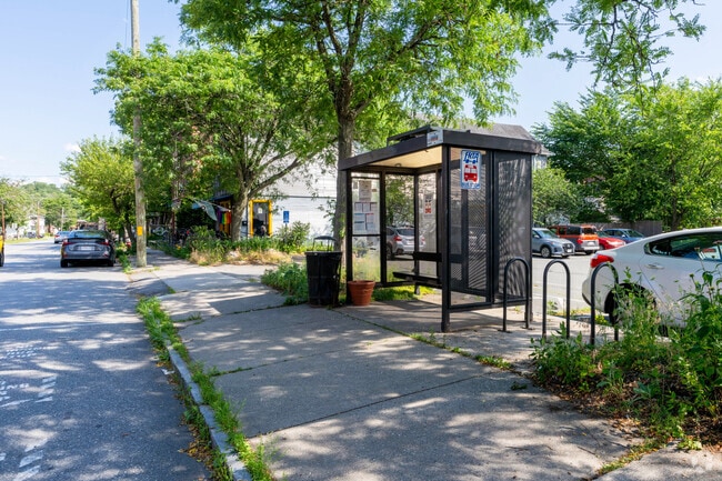 FRTA buses in Turners Falls offer convenient public transit connecting residents to nearby towns and services.