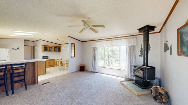 1360 Kiowa Rd, Florissant, CO 80816 - photo 2