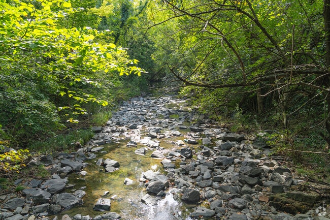 Moore's Run Park in Cedonia features wooded trails and wildlife.