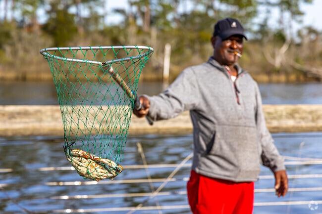 Blue crabs are a local delicacy that can be found in the Escatawpa River in Moss Point.