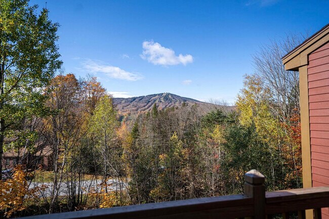 3A Black Pine unit ID1261564P, Dover, VT 05356 - photo 6