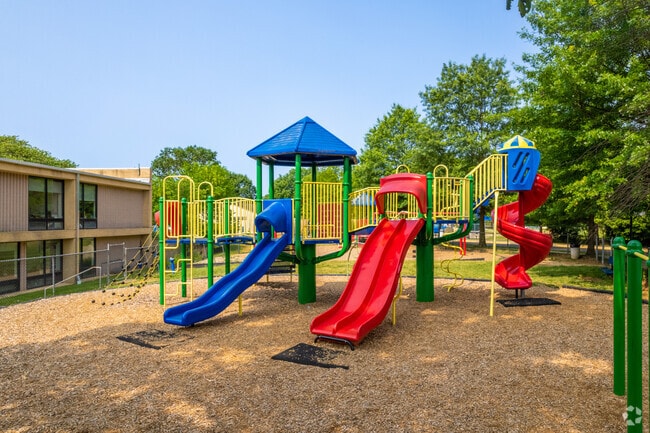 The large playground at Albert Einstein Academy provides a great space for students to enjoy.