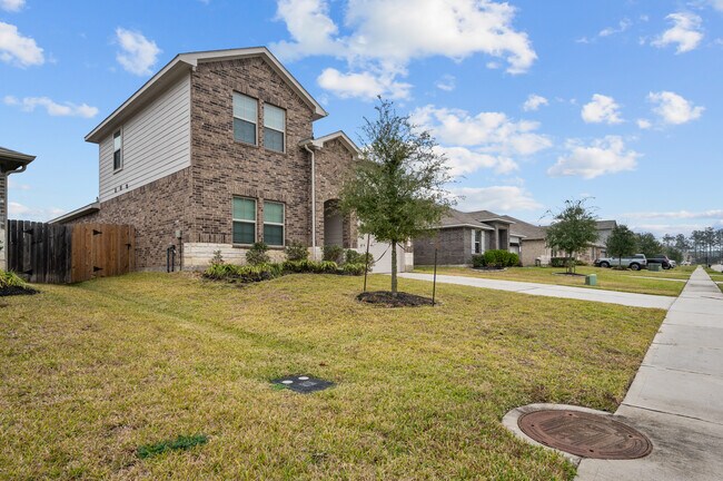 20811 Olive Leaf St, New Caney, TX 77357 - photo 3