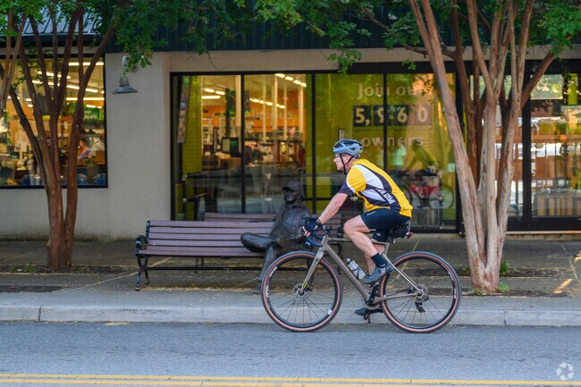 Norwich is a cyclist's paradise.